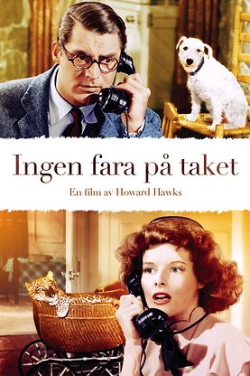 Ingen fara på taket