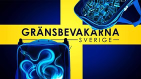 Greatest Hits of Music