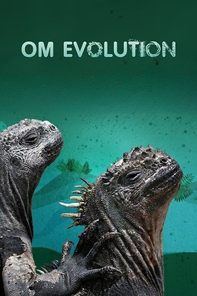 Om evolution - meänkieli