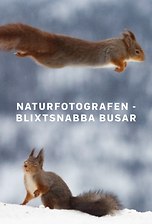 Naturfotografen - blixtsnabba busar