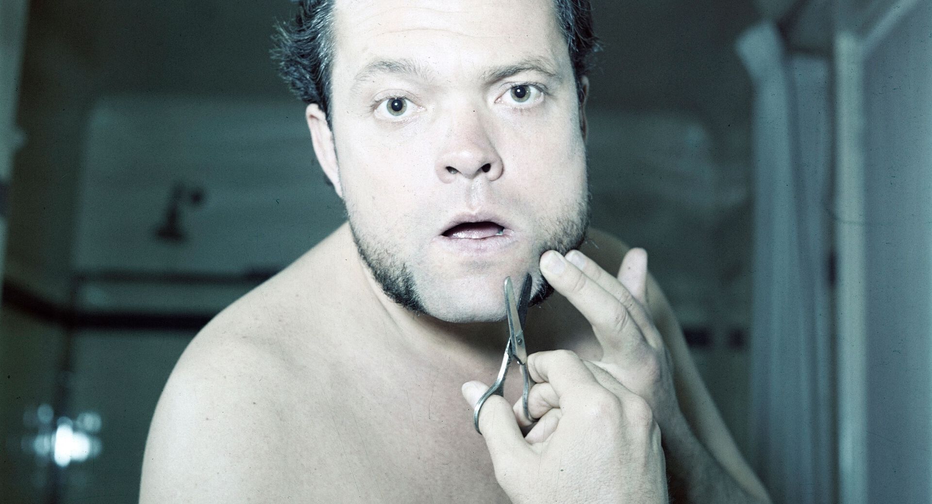 The Eyes of Orson Welles