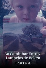 Ao Caminhar Entrevi Lampejos de Beleza (Parte Dois)