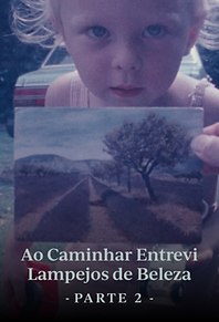 Ao Caminhar Entrevi Lampejos de Beleza (Parte Dois)