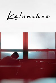 Kalanchoe