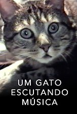 Um Gato Escutando Música