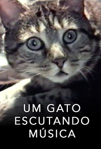 Um Gato Escutando Música