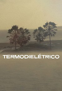Termodielétrico