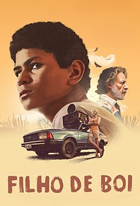 Filho de Boi