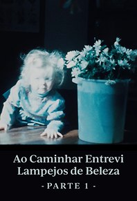 Ao Caminhar Entrevi Lampejos de Beleza (Parte Um)