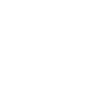 SVT 2