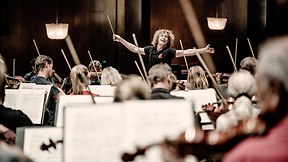 Bruckner with Vägus