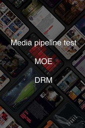 QA Do Not Touch Moe DRM