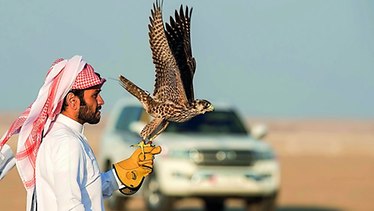 Fazza Championship