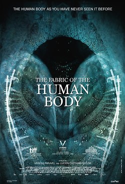 The Fabric of the Human Body