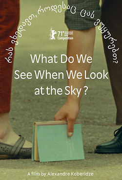 What do we See when we Look at the Sky?