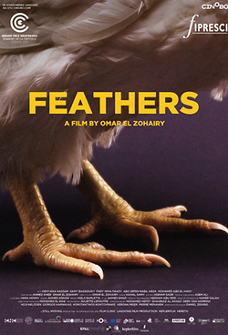 Feathers