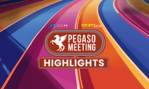 Pegaso Meeting 2026 - Highlights