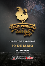 Team Penning Gallo braga - 19 Maio
