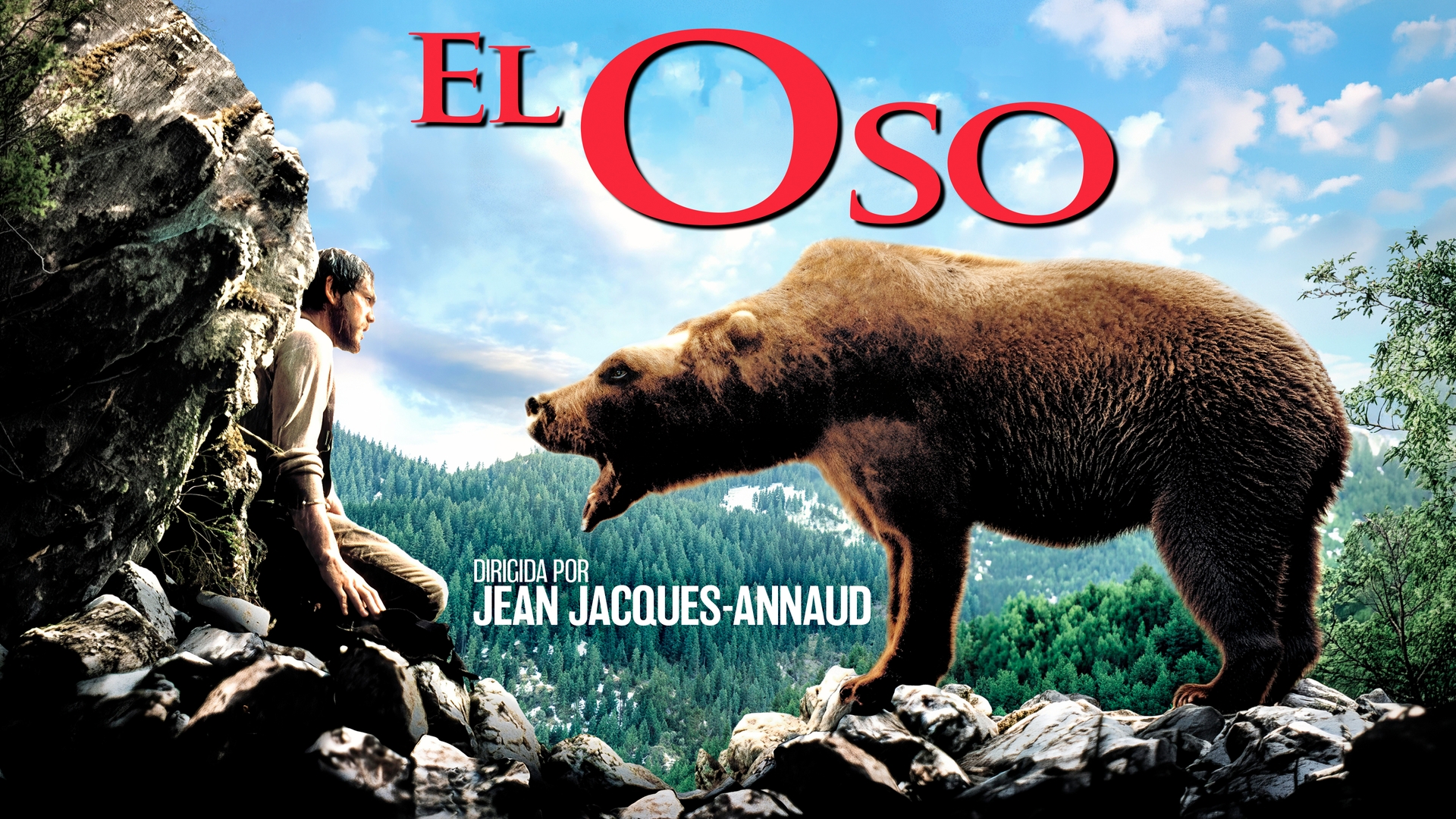 El oso