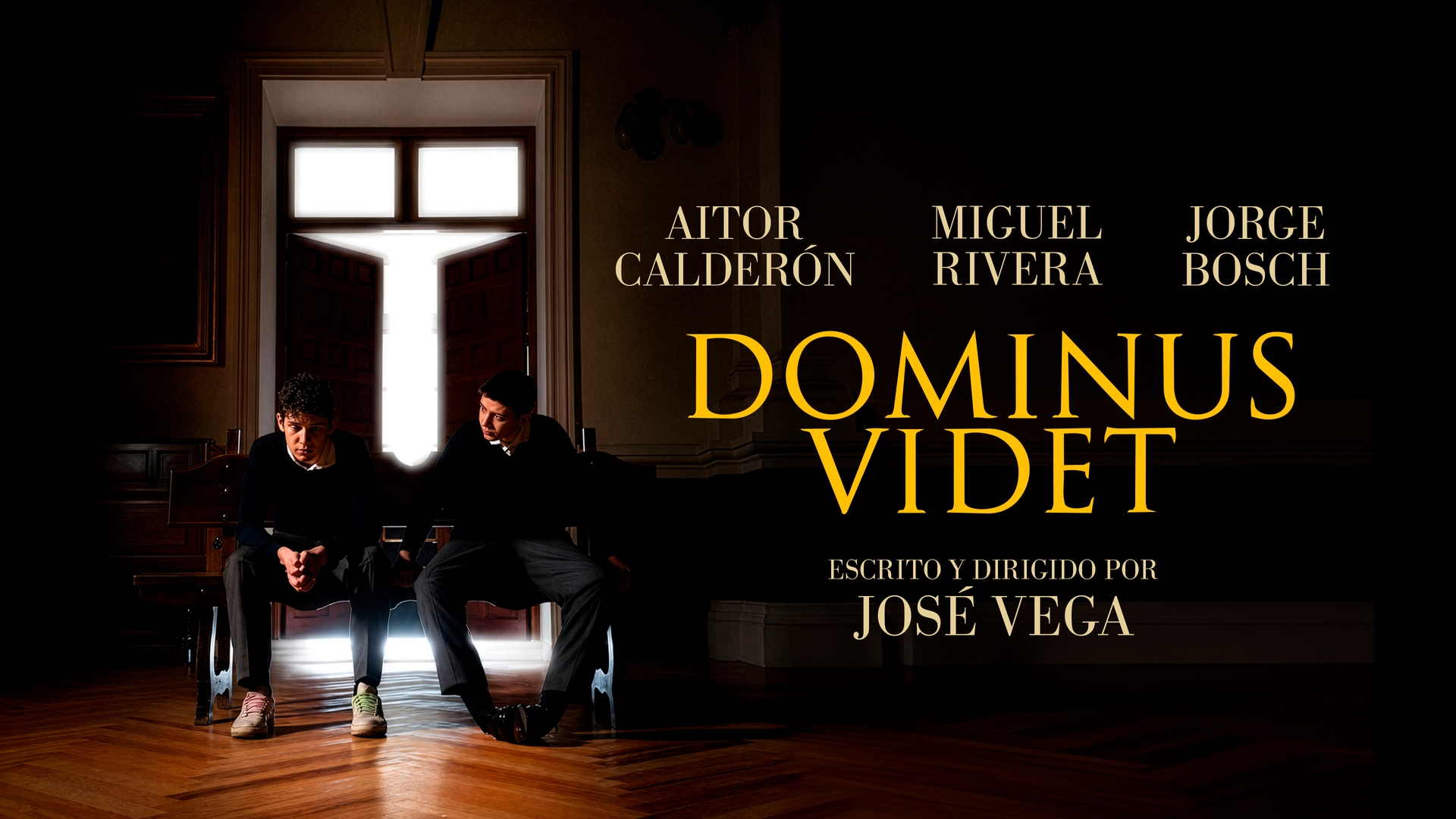 Dominus Videt