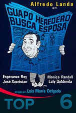 Guapo heredero busca esposa