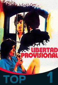 Libertad provisional