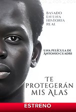 Te protegerán mis alas