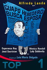 Guapo heredero busca esposa