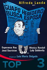 Guapo heredero busca esposa