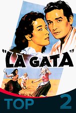 La gata