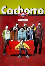Cachorro