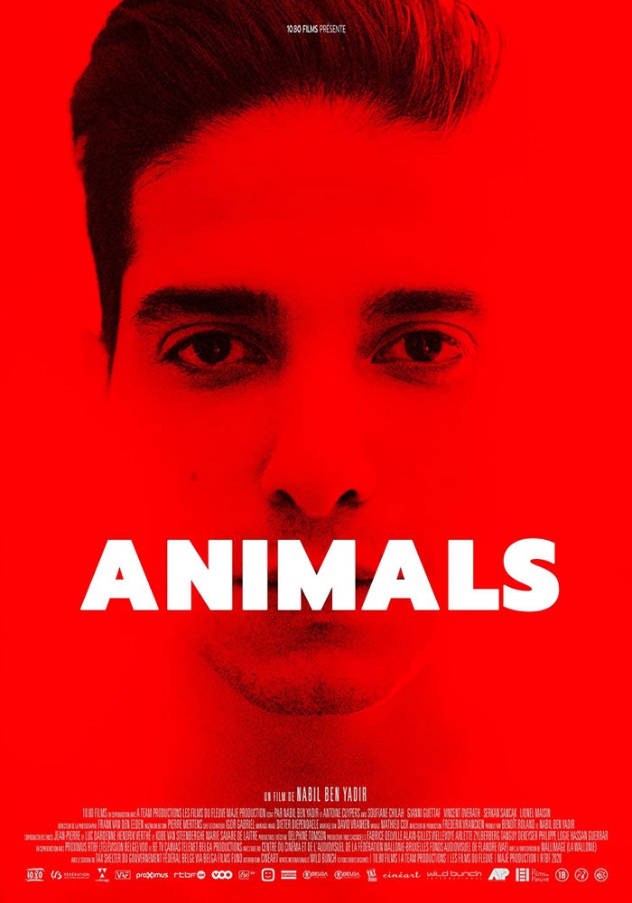 Animals