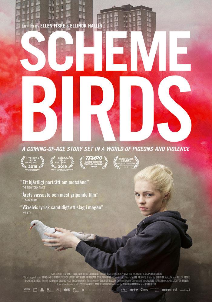 Scheme Birds