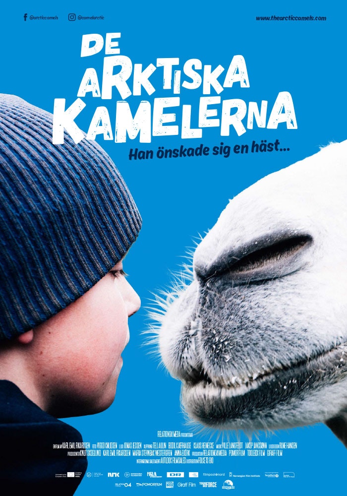 De arktiska kamelerna