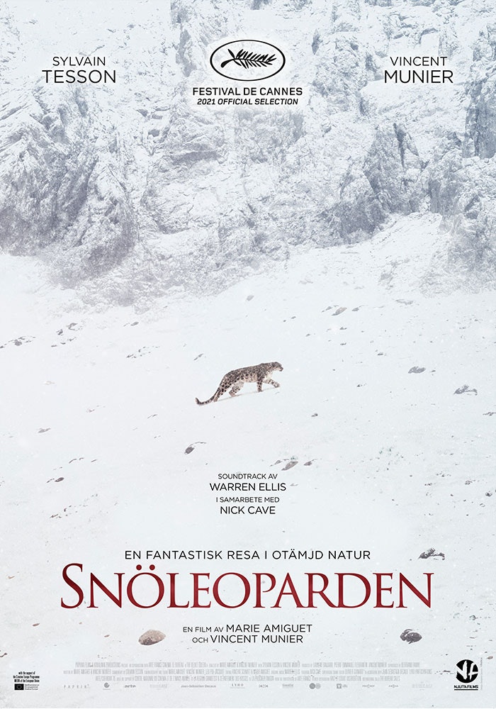 Snöleoparden