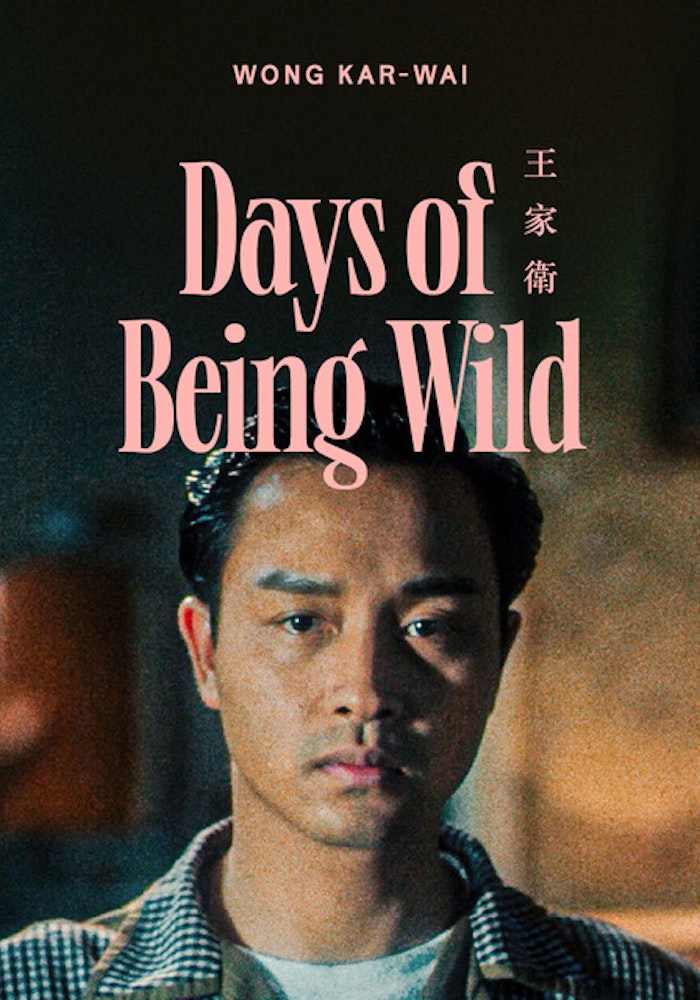 Days of Being Wild