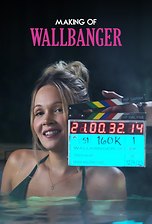 The Making of Wallbanger