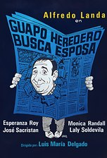 Guapo heredero busca esposa