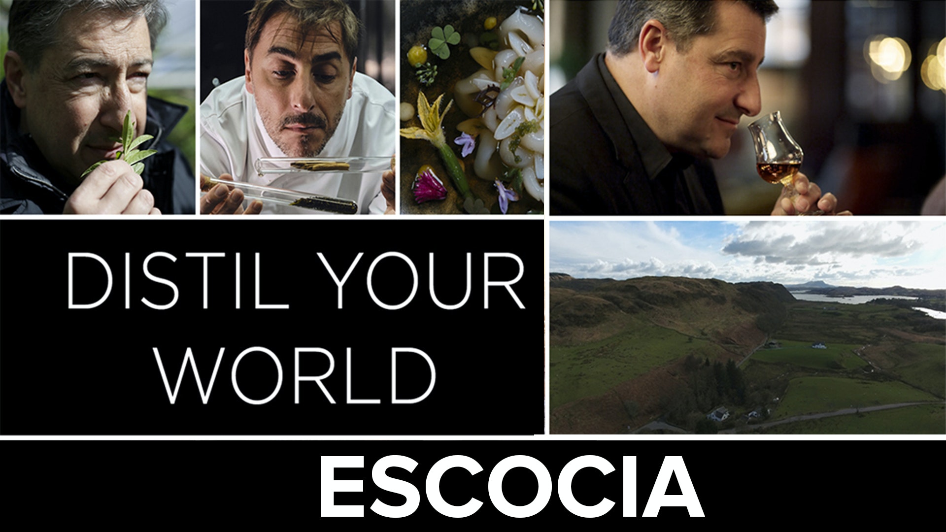 Distil your world: Escocia