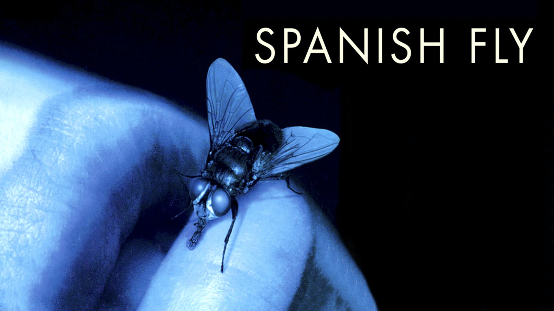 Spanish Fly