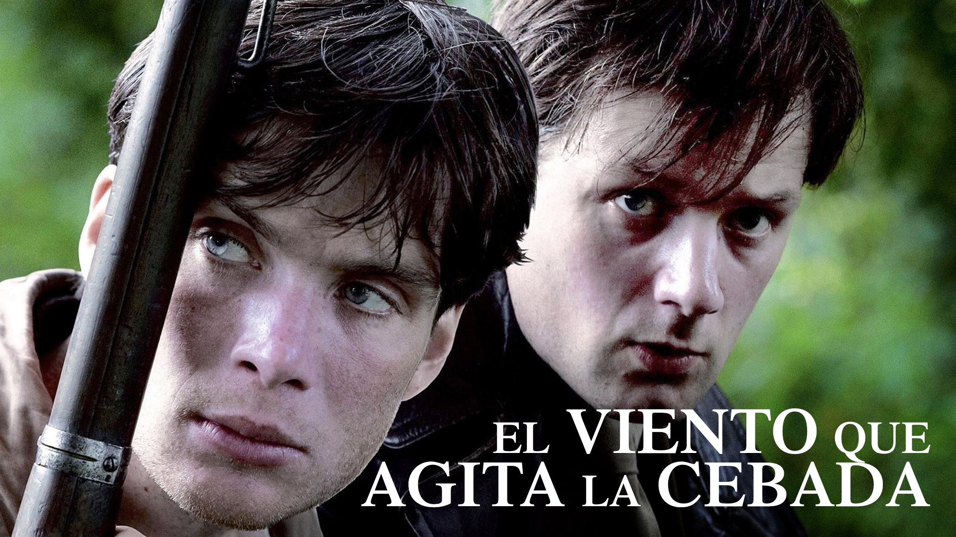 El viento que agita la cebada