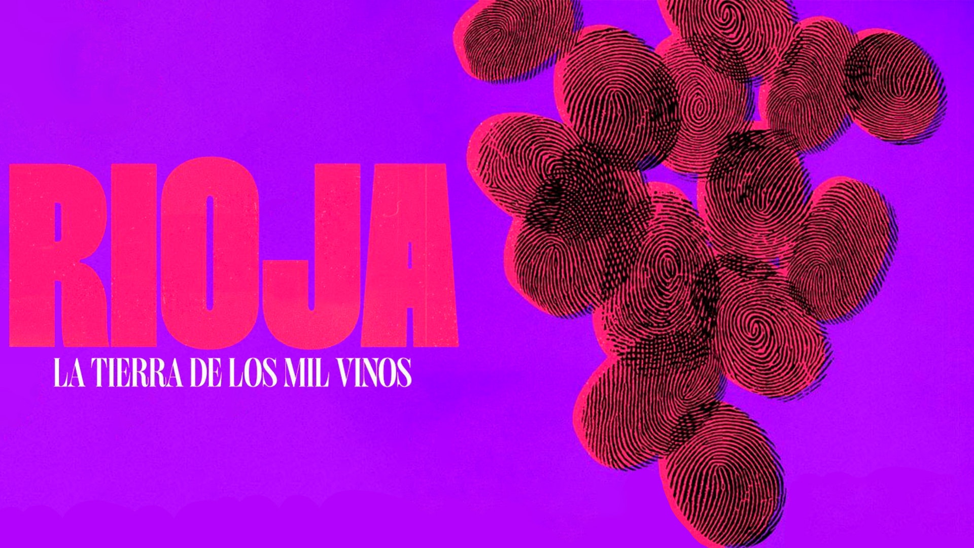 Rioja, la tierra de los mil vinos