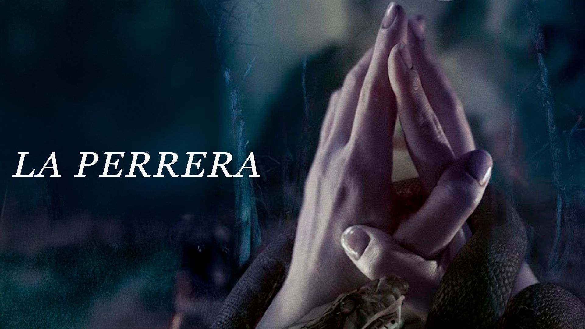 La perrera