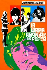 La larga agonía de los peces fuera del agua