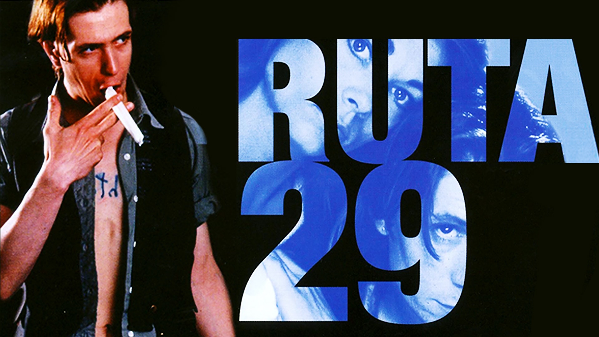 Ruta 29