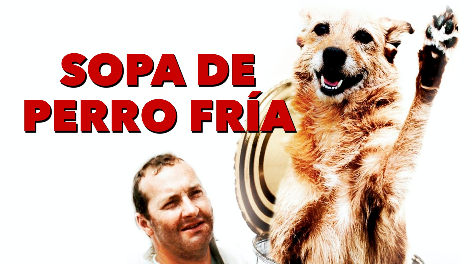 Sopa de perro fría