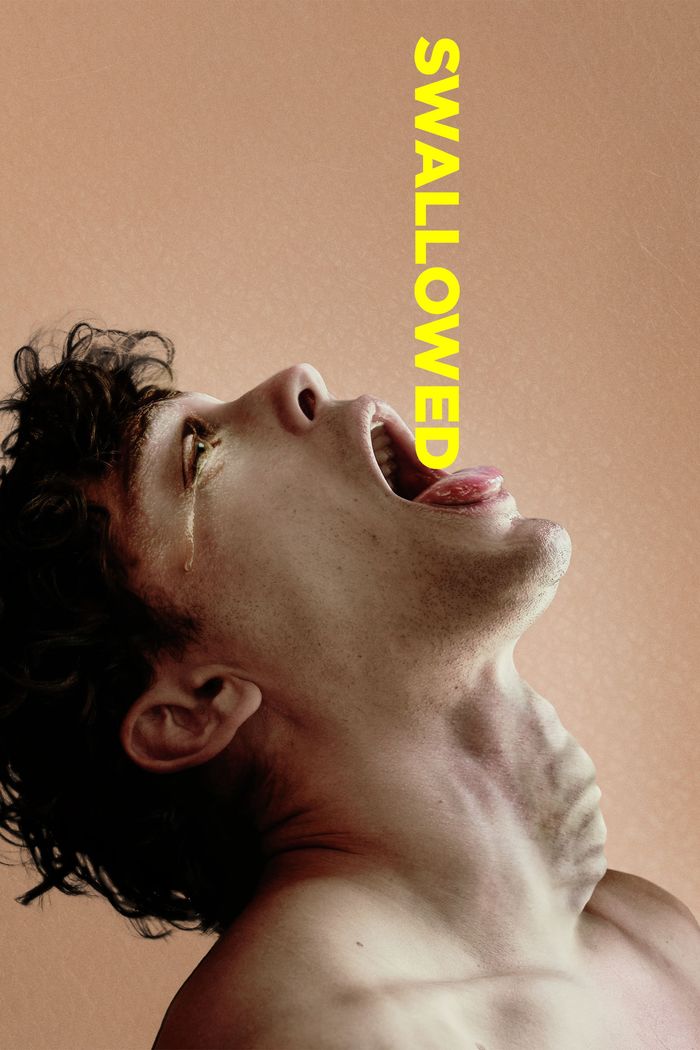 Affisch: Swallowed