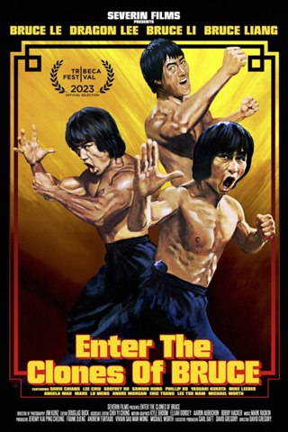 Affisch: Enter the Clones of Bruce
