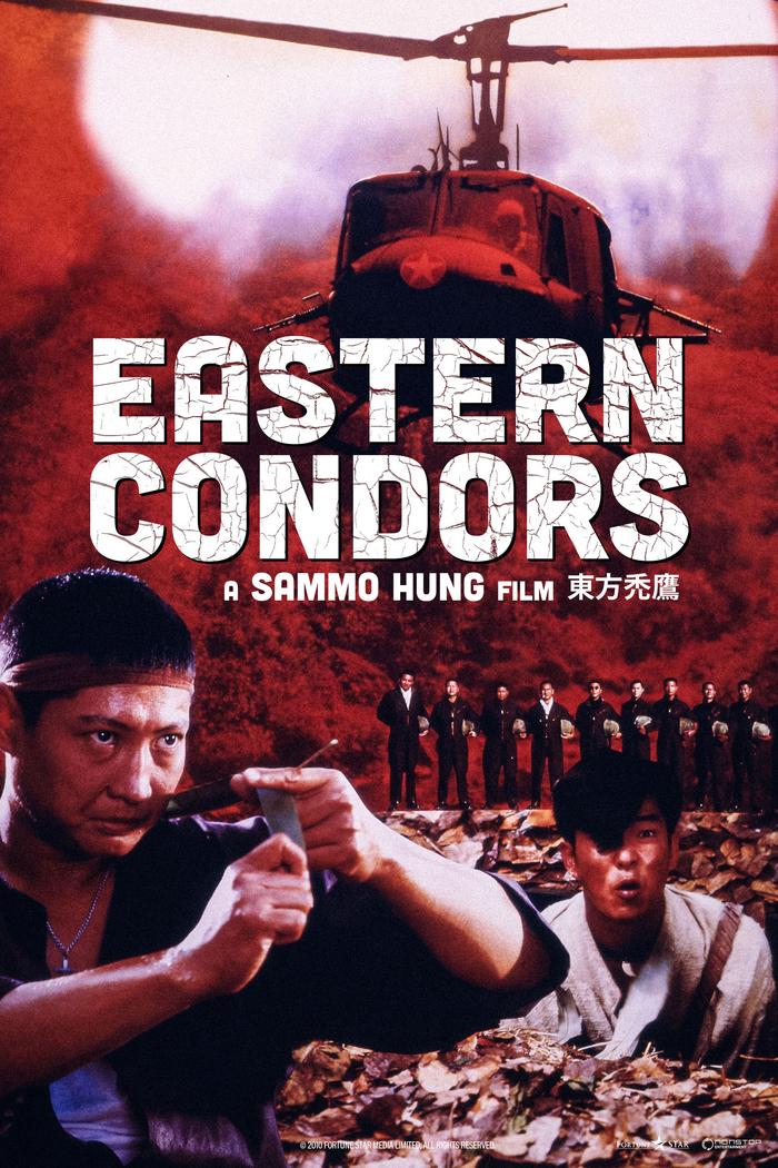 Affisch: Eastern Condors