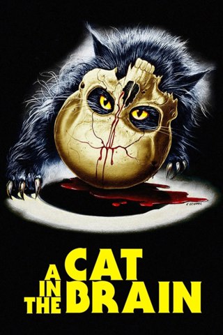 Affisch: A Cat in the Brain